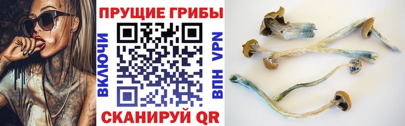 Галлюциногенные грибы MAGIC MUSHROOMS  Серпухов 